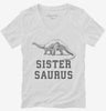 Sistersaurus Sister Dinosaur Womens Vneck Shirt 666x695.jpg?v=1700361101