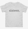 Sixteenth Birthday Sixteen Toddler Shirt 666x695.jpg?v=1700358844