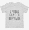 Spinal Cancer Survivor Toddler Shirt 666x695.jpg?v=1700470349