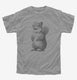 Squirrel Graphic grey Youth Tee