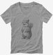 Squirrel Graphic grey Womens V-Neck Tee