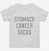 Stomach Cancer Sucks Toddler Shirt 666x695.jpg?v=1700503337