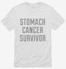 Stomach Cancer Survivor Shirt 666x695.jpg?v=1700500202