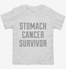 Stomach Cancer Survivor Toddler Shirt 666x695.jpg?v=1700500203
