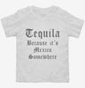 Tequila Because Its Mexico Somewhere Toddler Shirt 666x695.jpg?v=1700380302