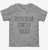 Testicular Cancer Sucks Toddler