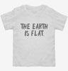 The Earth Is Flat Earth Toddler Shirt 666x695.jpg?v=1700452260