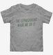 The Leprechauns Made Me Do It Funny grey Toddler Tee