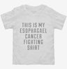 This Is My Esophagael Cancer Fighting Shirt Toddler Shirt 666x695.jpg?v=1700509583