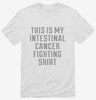 This Is My Intestinal Cancer Fighting Shirt Shirt 666x695.jpg?v=1700498899