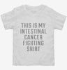 This Is My Intestinal Cancer Fighting Shirt Toddler Shirt 666x695.jpg?v=1700498899