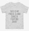 This Is My Pineal Gland Cancer Fighting Shirt Toddler Shirt 666x695.jpg?v=1700486195