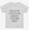 This Is My Testicular Cancer Fighting Shirt Toddler Shirt 666x695.jpg?v=1700511615
