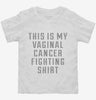 This Is My Vaginal Cancer Fighting Shirt Toddler Shirt 666x695.jpg?v=1700498805