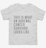 This Is What A Adrenal Cancer Survivor Looks Like Toddler Shirt 666x695.jpg?v=1700506872