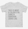 This Is What A Colorectal Cancer Survivor Looks Like Toddler Shirt 666x695.jpg?v=1700503526