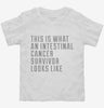 This Is What A Intestinal Cancer Survivor Looks Like Toddler Shirt 666x695.jpg?v=1700480152