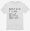 This Is What A Kidney Cancer Survivor Looks Like Shirt 666x695.jpg?v=1700512369
