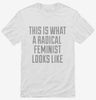 This Is What A Radical Feminist Looks Like Shirt C24add31-f804-4d93-aecb-76d83b23da2c 666x695.jpg?v=1700590351