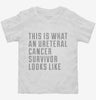 This Is What A Ureteral Cancer Survivor Looks Like Toddler Shirt 666x695.jpg?v=1700484032