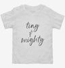 Tiny And Mighty Toddler Shirt 666x695.jpg?v=1700360311