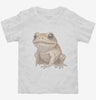 Toad Graphic Toddler Shirt 666x695.jpg?v=1700300220