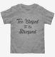 Too Blessed To Be Stressed grey Toddler Tee