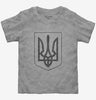 Ukraine Coat Of Arms Toddler