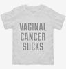Vaginal Cancer Sucks Toddler Shirt 666x695.jpg?v=1700497648