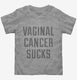 Vaginal Cancer Sucks grey Toddler Tee