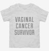Vaginal Cancer Survivor Toddler Shirt 666x695.jpg?v=1700476084