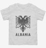Vintage Albanian Eagle Toddler Shirt 6e6c2708-1715-4936-b153-cc14f0f8a4a5 666x695.jpg?v=1700589297
