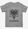 Vintage Albanian Eagle Toddler Tshirt 59cec07e-24e4-4050-91c1-dc654d8a7c3e 666x695.jpg?v=1700589297