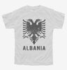 Vintage Albanian Eagle Youth Tshirt E4fa55d8-21e6-4db5-a7db-23a884b3ca61 666x695.jpg?v=1700589297
