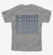 Vintage Bluegrass Festival grey Youth Tee