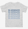 Vintage Bluegrass Festival Toddler Shirt 666x695.jpg?v=1700360937