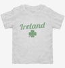 Vintage Ireland Shamrock Toddler Shirt 666x695.jpg?v=1700522228