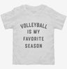Volleyball Is My Favorite Season Toddler Shirt 666x695.jpg?v=1700379991