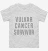 Vulvar Cancer Survivor Toddler Shirt 666x695.jpg?v=1700495496