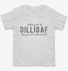 What Part Of Dilligaf Did You Not Understand Toddler Shirt Aa2f16ec-8b96-440a-b7ae-3f65de003af2 666x695.jpg?v=1700588243