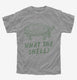 What The Shell Funny Turtle  Youth Tee
