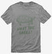 What The Shell Funny Turtle grey Mens