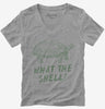 What The Shell Funny Turtle Womens Vneck