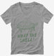 What The Shell Funny Turtle grey Womens V-Neck Tee