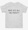 Who Ate All The Pussy Toddler Shirt 0fc994a2-2ddf-4a70-8c6b-f6353ddd7fc3 666x695.jpg?v=1700587901