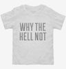 Why The Hell Not Toddler Shirt 666x695.jpg?v=1700520936