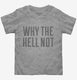 Why The Hell Not grey Toddler Tee