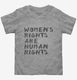 Womens Rights Are Human Rights grey Toddler Tee