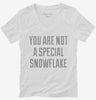 You Are Not A Special Snowflake Womens Vneck Shirt 666x695.jpg?v=1700505747