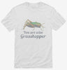 You Are Wise Grasshopper Humor Shirt 666x695.jpg?v=1700520366